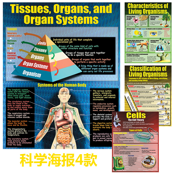 科学海报4款 动植物细胞生物光合作用 儿童房学校教室装饰画芯心图片