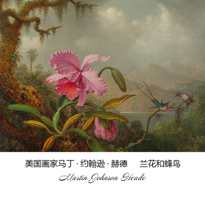兰花和蜂鸟MartinHeade风景油画