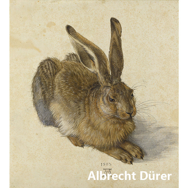 兔子 albrecht dürer丢勒德国文艺复兴水彩画 玄关书房装饰画芯