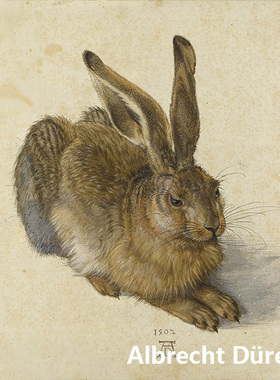 兔子 Albrecht Dürer丢勒德国文艺复兴水彩画 玄关书房装饰画芯