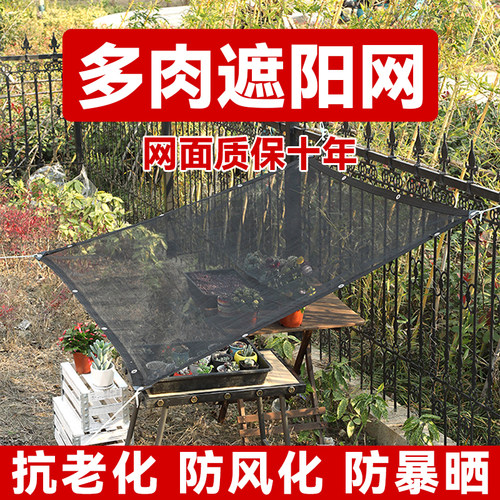 亿农多肉植物网遮阳透气不积水