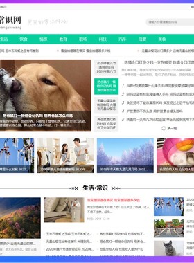 thinkphp5内核易优cms系统自媒体新闻资讯类网站模板eyoucms个人