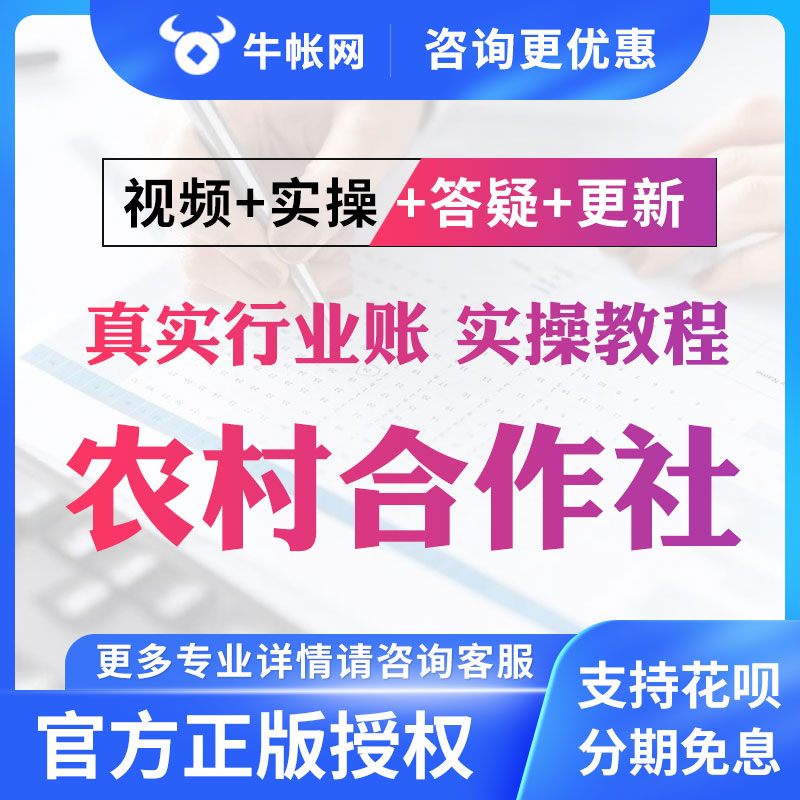 农村合作社会计账真账实操实训会计实务做账视频教程培训网络课程