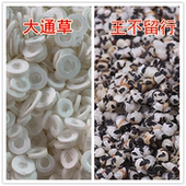 大通草王不留行 7包 炖鲫鱼猪蹄汤通乳煮茶母乳追奶水不足产后下