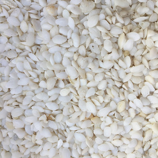 黄花鱼脑石中药材生石首鱼头石石首鱼脑中枕石首骨黄鱼脑石散打粉