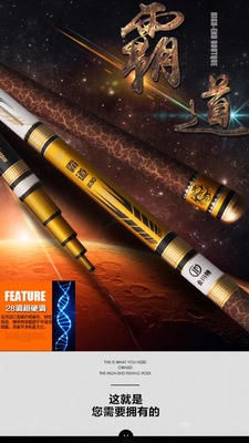 碳素19调超轻超硬水库台钓竿