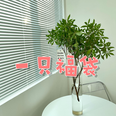 帽子FU 袋棒球帽渔夫帽针织帽太阳镜平光镜