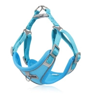 Небо синий (безрассудно)