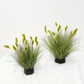 店橱窗落地装 含阳 仿真芦苇狗尾巴草洋葱草植物盆景服装 饰绿植