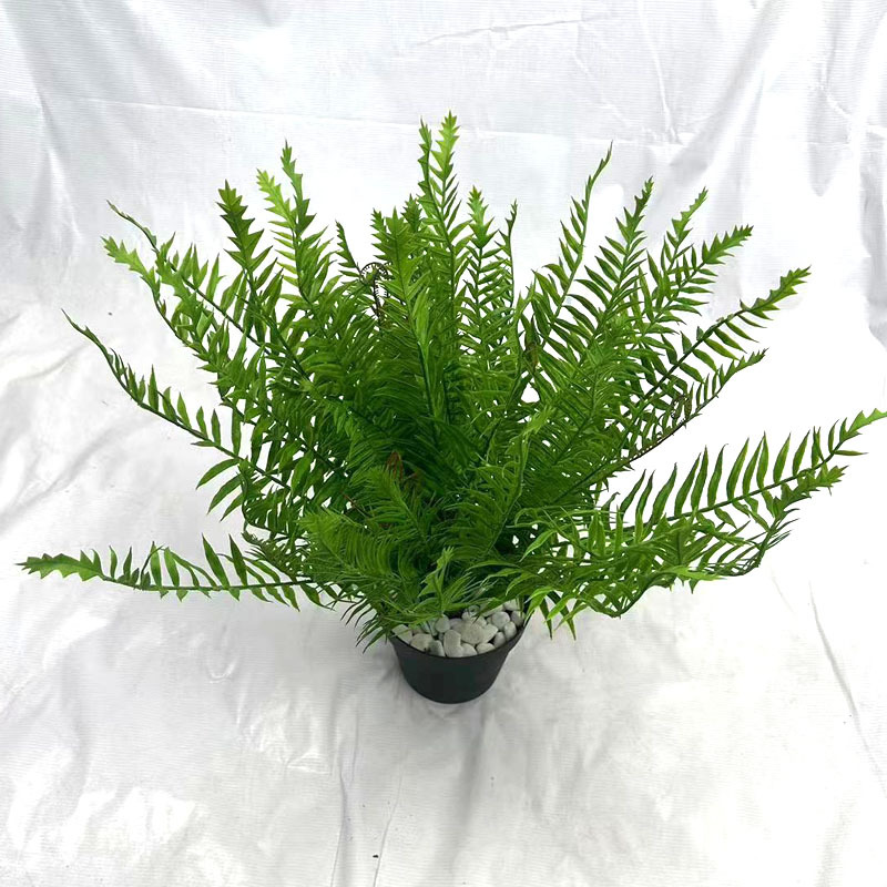 仿真蕨类波斯顿厥绿植波斯草波士顿蕨植物墙装饰造景蕨类厂家