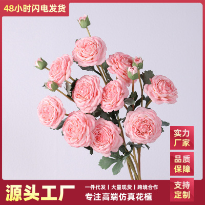 仿真花婚庆用花洋牡丹贵妃露莲绢花 欧式家居装饰假花摄影人造花