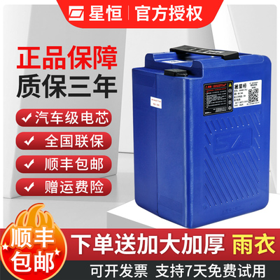 雅迪爱玛48v24Ah标配星恒锂电池