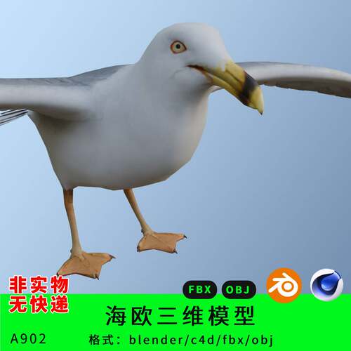 鸟禽海鸥三维模型3d素材blender/c4d/fbx/obj动物鸟禽飞禽
