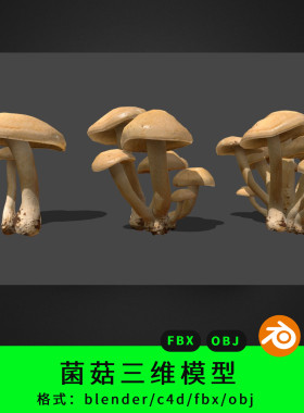 blender菌菇三维模型蘑菇3d素材c4d/fbx/obj香菇食物菌类