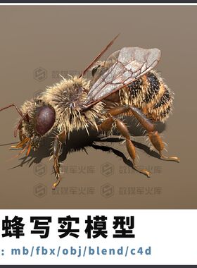 MAYA写实蜜蜂模型昆虫蜜蜂FBX模型/3D参考OBJ模型Blender三维