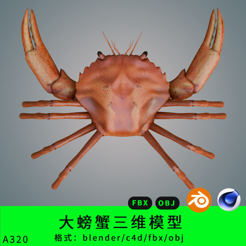 blender螃蟹三维模型3d素材c4d/fbx/obj红螃蟹maya/max