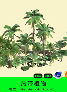 三维热带植物模型3d素材灌木blender/c4d/fbx/obj椰子树绿色植物