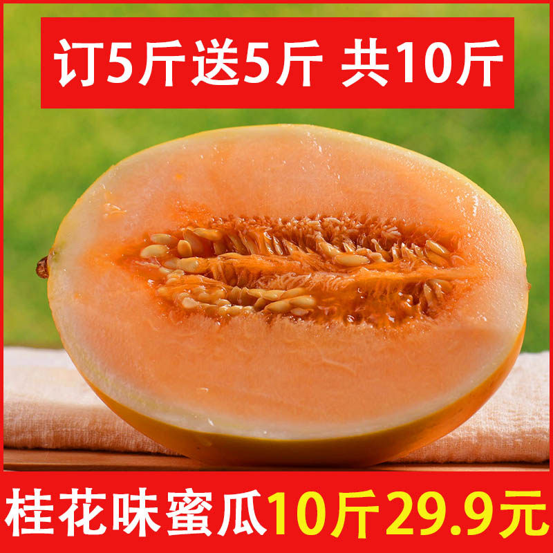 Advance sale fresh fruit Northern Shaanxi Osmanthus flavor Fragrant and sweet Melon Cantaloupe Gold melon Muskmelon muskmelon Honeydew melon 10 Jinin the Aquatic meat/Fresh fruits and vegetables/Cooked , Fresh fruit , Cantaloupe  category - from Buy2taobao.com to provide professional Taobao agent buy service