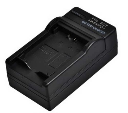 索尼NP-FV100 FH100 CX700E PJ50E 260E VG10E FV70电池充电器