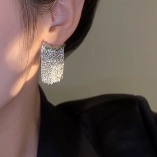 法式 轻奢高级感金属流苏耳环女小众设计简约气质百搭耳钉耳饰银针