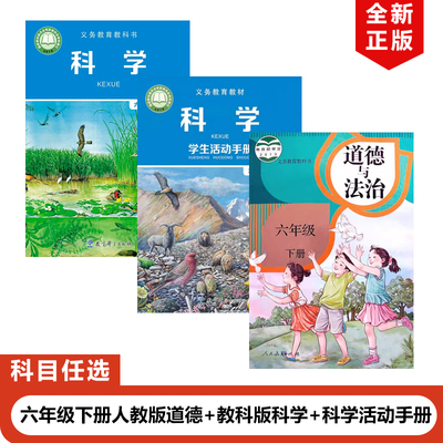 道德+教科版科学+科学活动