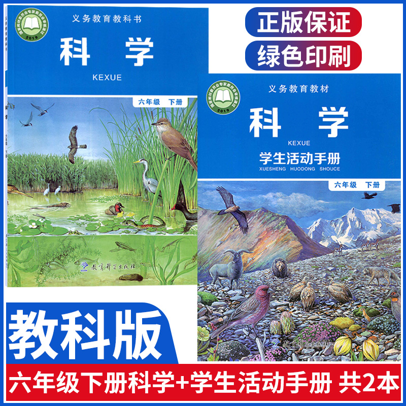 正版包邮2025适用教科版小学六年级下册科学教育科学出版社教科版小学六年级下册科学教材教科书教科版小学6年级下册科学6下科学