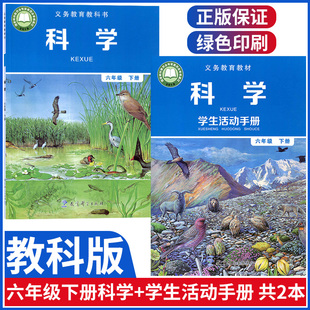 包邮 小学六年级下册科学教材教科书教科版 2025适用教科版 社教科版 小学6年级下册科学6下科学 小学六年级下册科学教育科学出版 正版
