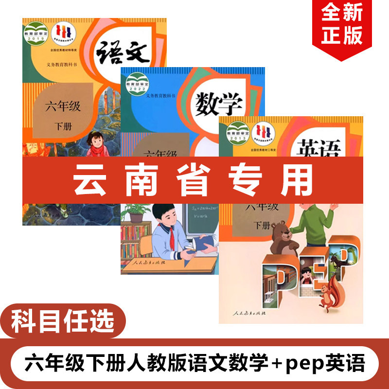 正版包邮2023适用人教版小学