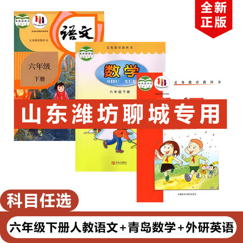 正版2023适用人教版小学