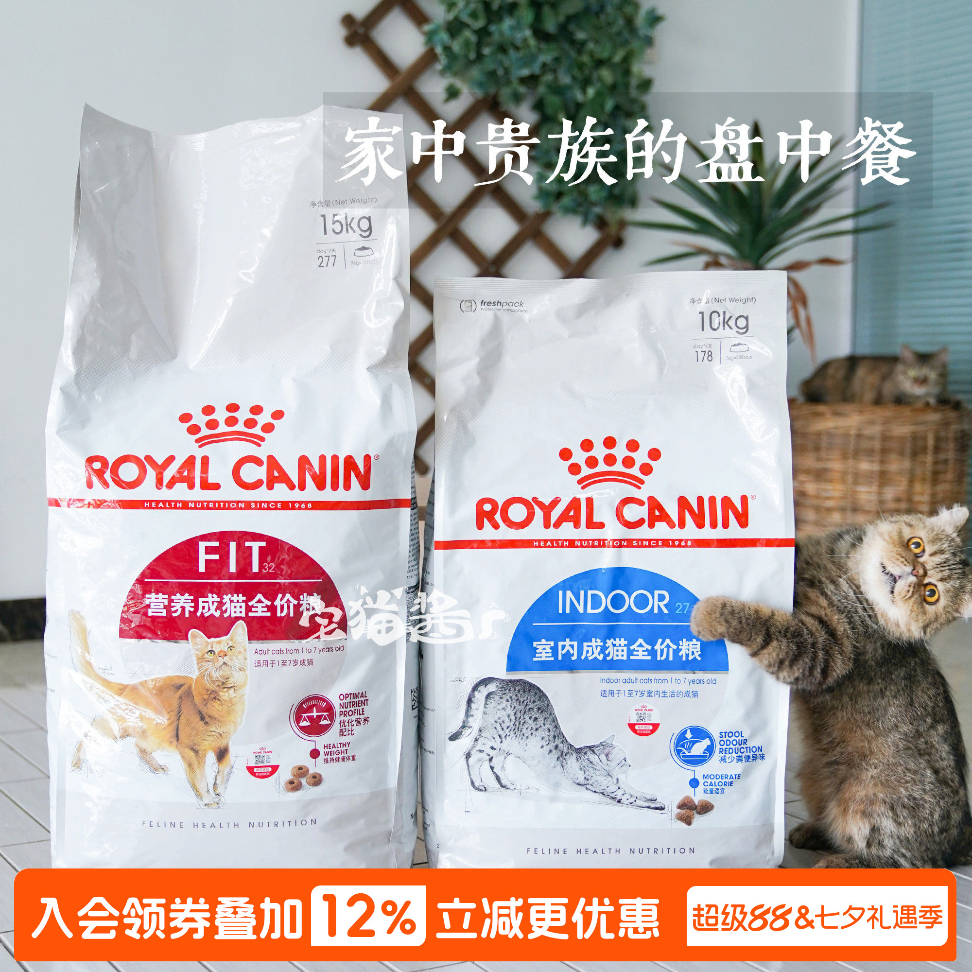 宅猫酱皇家i27室内成猫粮10kg幼猫粮k36bk34猫奶糕猫主粮 - 实物图