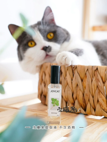 Дом кошачий соус joycat meow счастливая вода мята