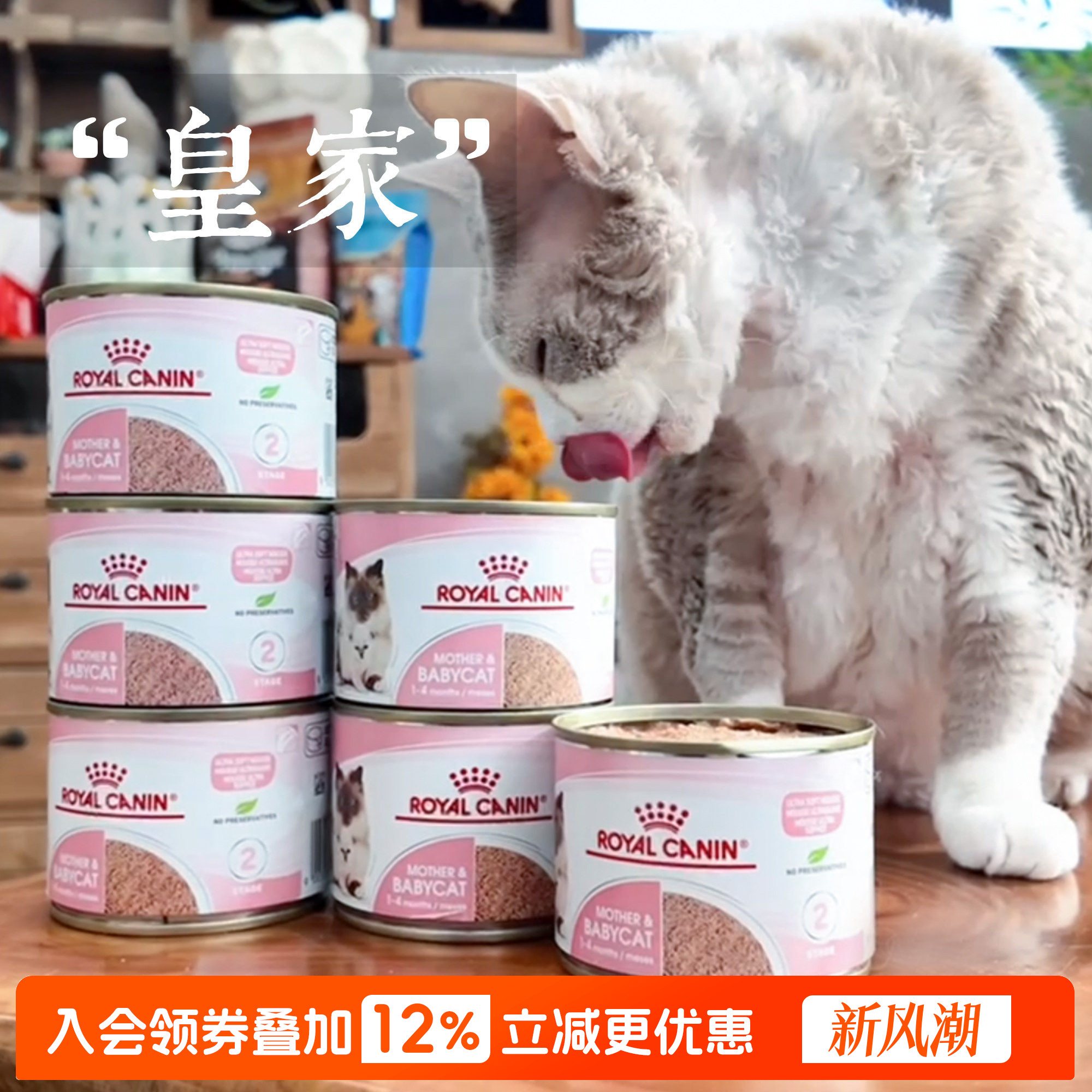 皇家离乳期幼猫慕斯奶糕罐猫罐头图片