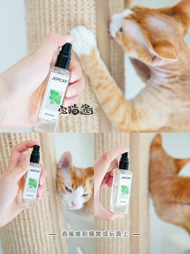 Дом кошачий соус joycat meow счастливая вода мята