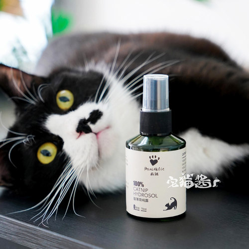爪迷猫薄荷纯露舒缓情绪喷雾