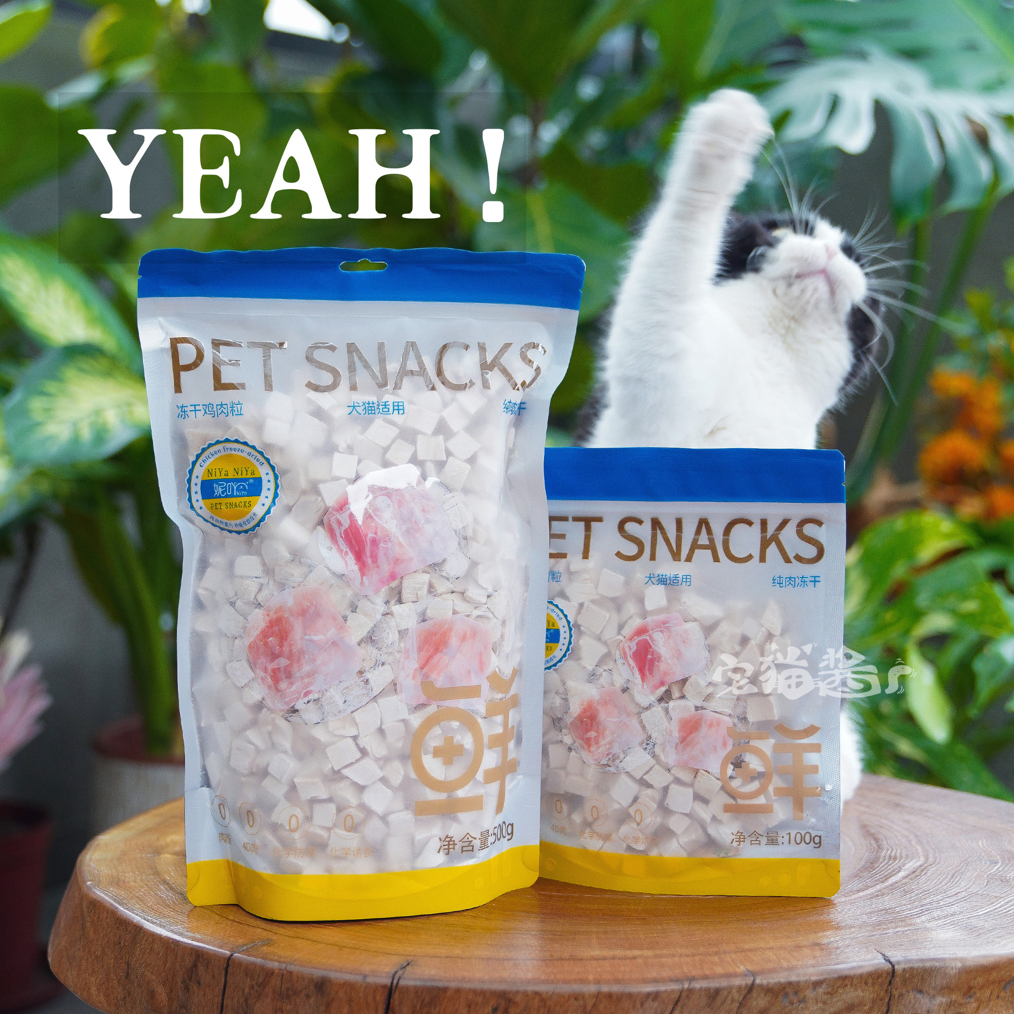 宅猫酱 妮吖冻干鸡肉粒猫咪零食犬猫通用美味拌粮磨牙猫零食500g