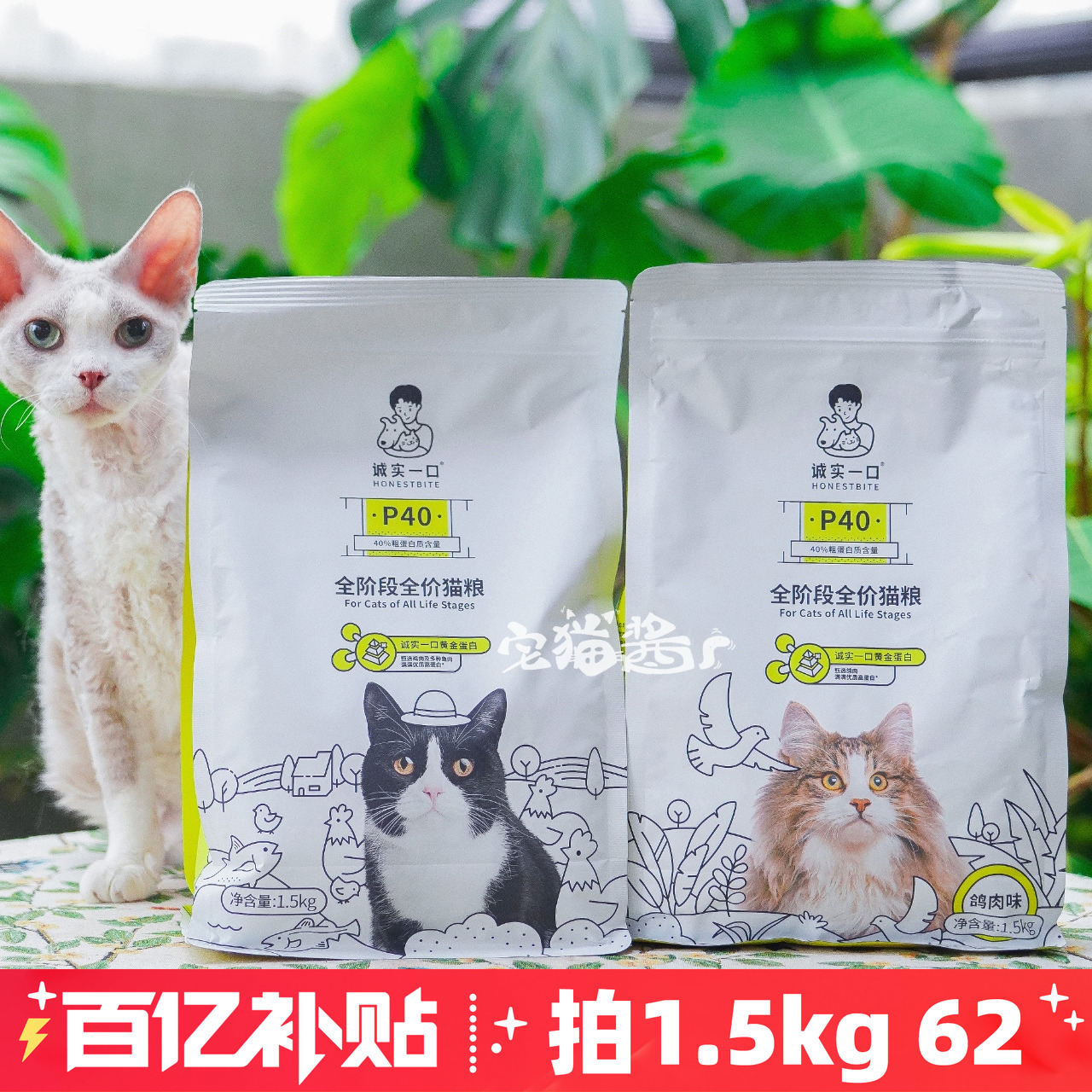 诚实一口P40全价猫主粮