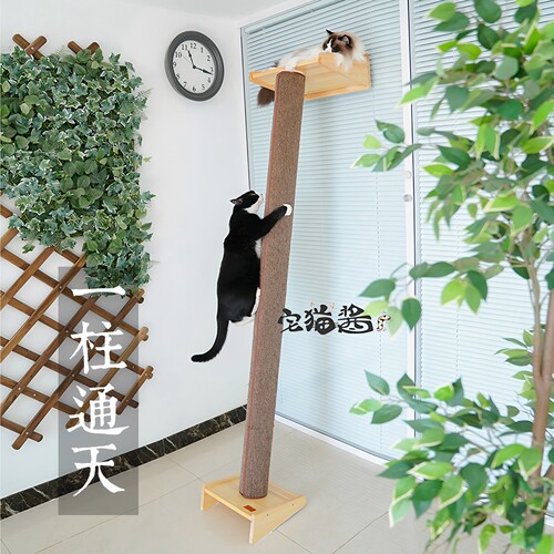 wakupet猫窝实木一体玩具抓柱