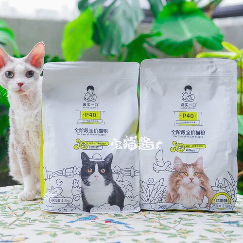 诚实一口P40全价猫主粮
