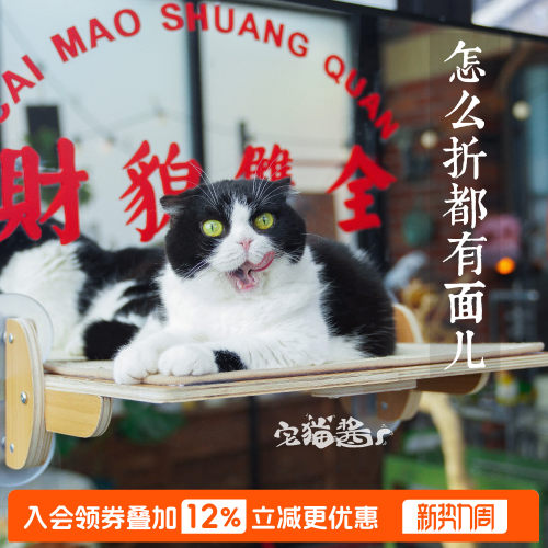 JoyCat吸盘猫爬架猫吊床抓板窝