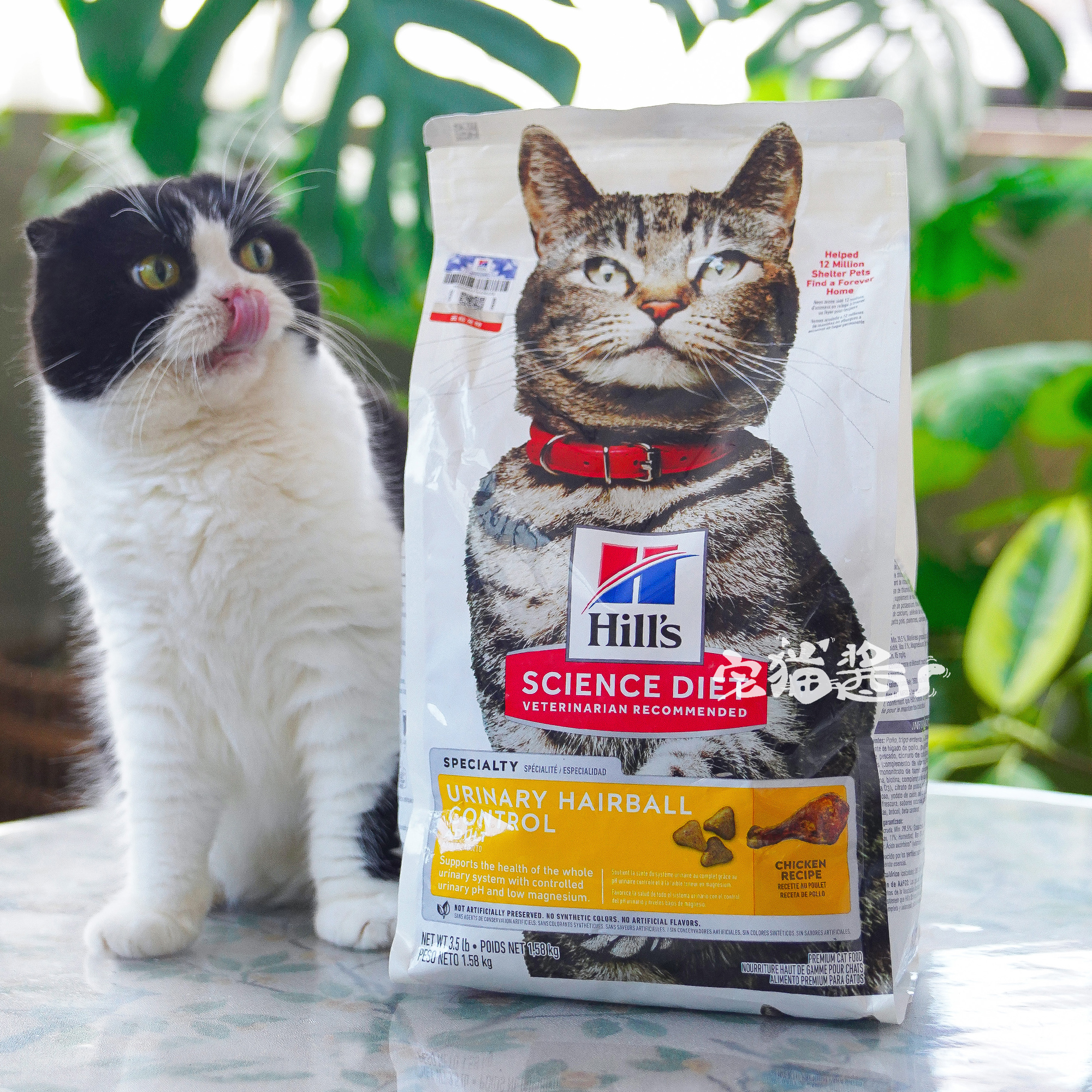 宅猫酱 Hill's希尔思泌尿呵护成猫粮希尔斯毛球管理全价猫主粮