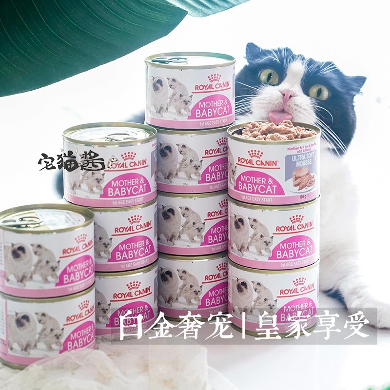 皇家离乳期奶糕猫罐头营养主粮