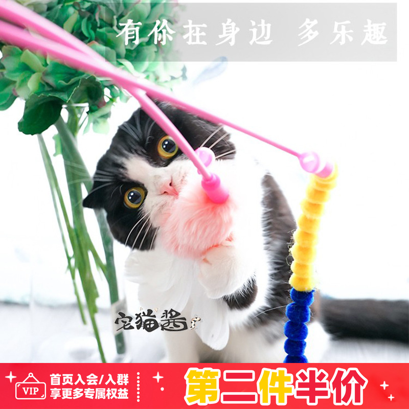 宅猫酱日本petio猫咪