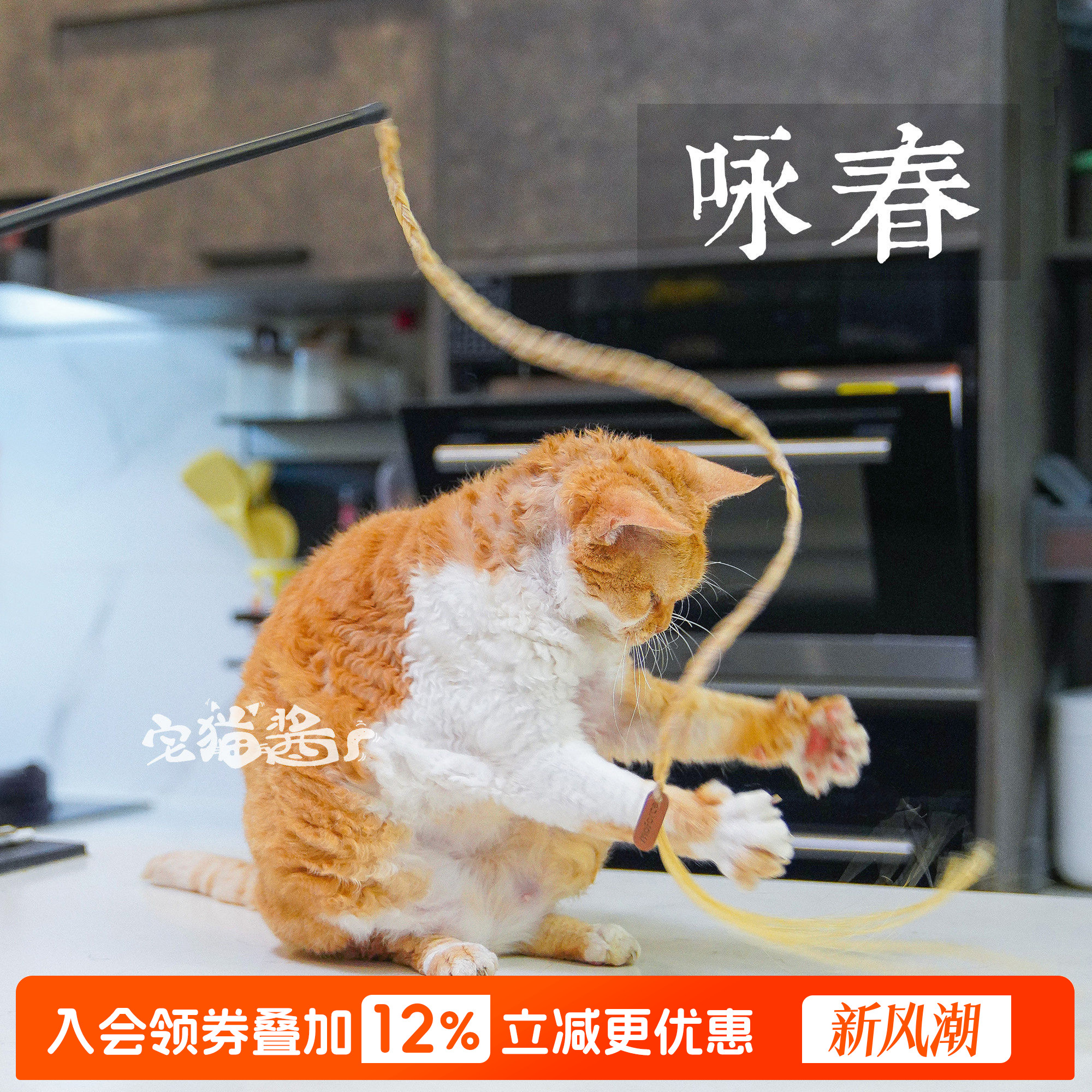 宅猫酱 moforce摩法小马鞭逗猫棒天然马毛长杆逗猫杆互动猫玩具图片