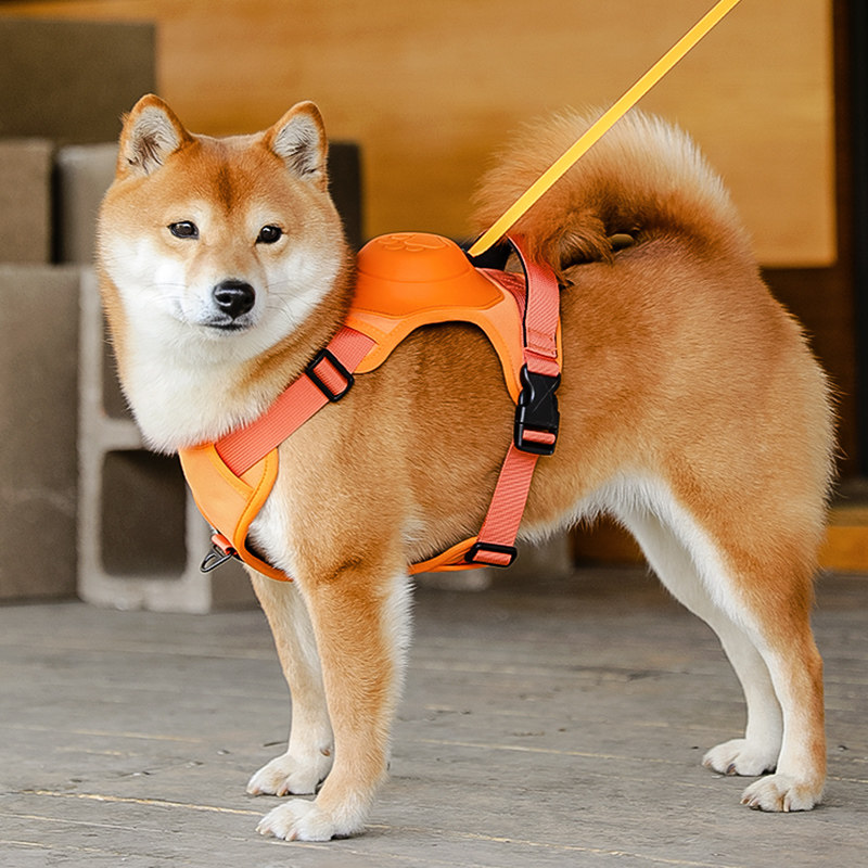 狗狗牵引绳自动伸缩背心式防挣脱遛狗绳中小型犬外出神器拴狗绳子