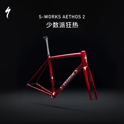 闪电S-WORKSAETHOS2车架