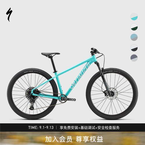 specialized闪电山地自行车
