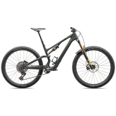 SPECIALIZED闪电 STUMPJUMPER 15 PRO碳纤维全避震林道山地自行车