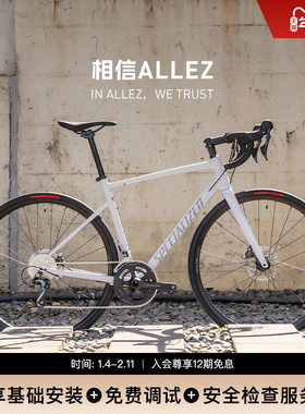SPECIALIZED闪电 ALLEZ E5 DISC SPORT 碳纤维前叉耐力公路自行车