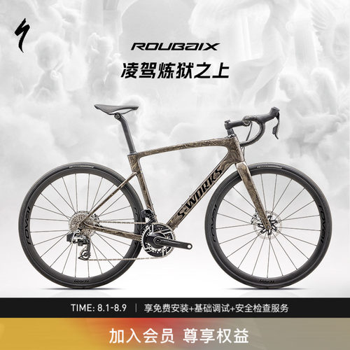 闪电S-WOKRSROUBAIXSL8公路车