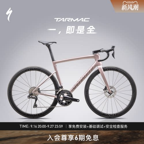 SPECIALIZED闪电公路车碳纤维